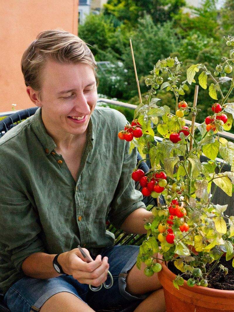 Grünraum Gartenservice GmbH 13
