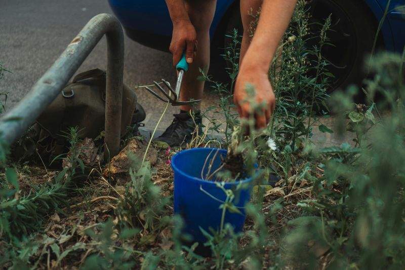 Grünraum Gartenservice GmbH 5